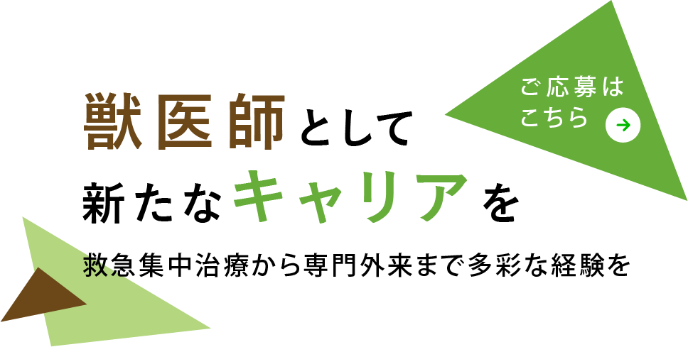 スタッフが腕を磨く機会が豊富
