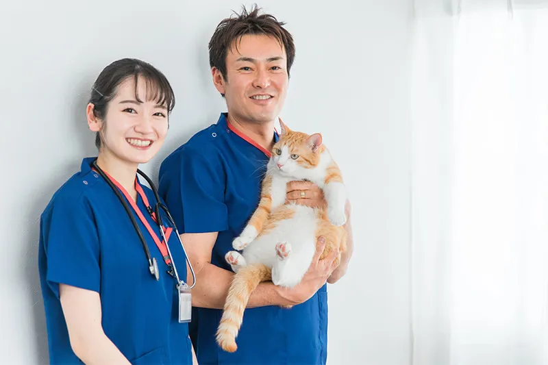 一つのチームとして働くスタッフ