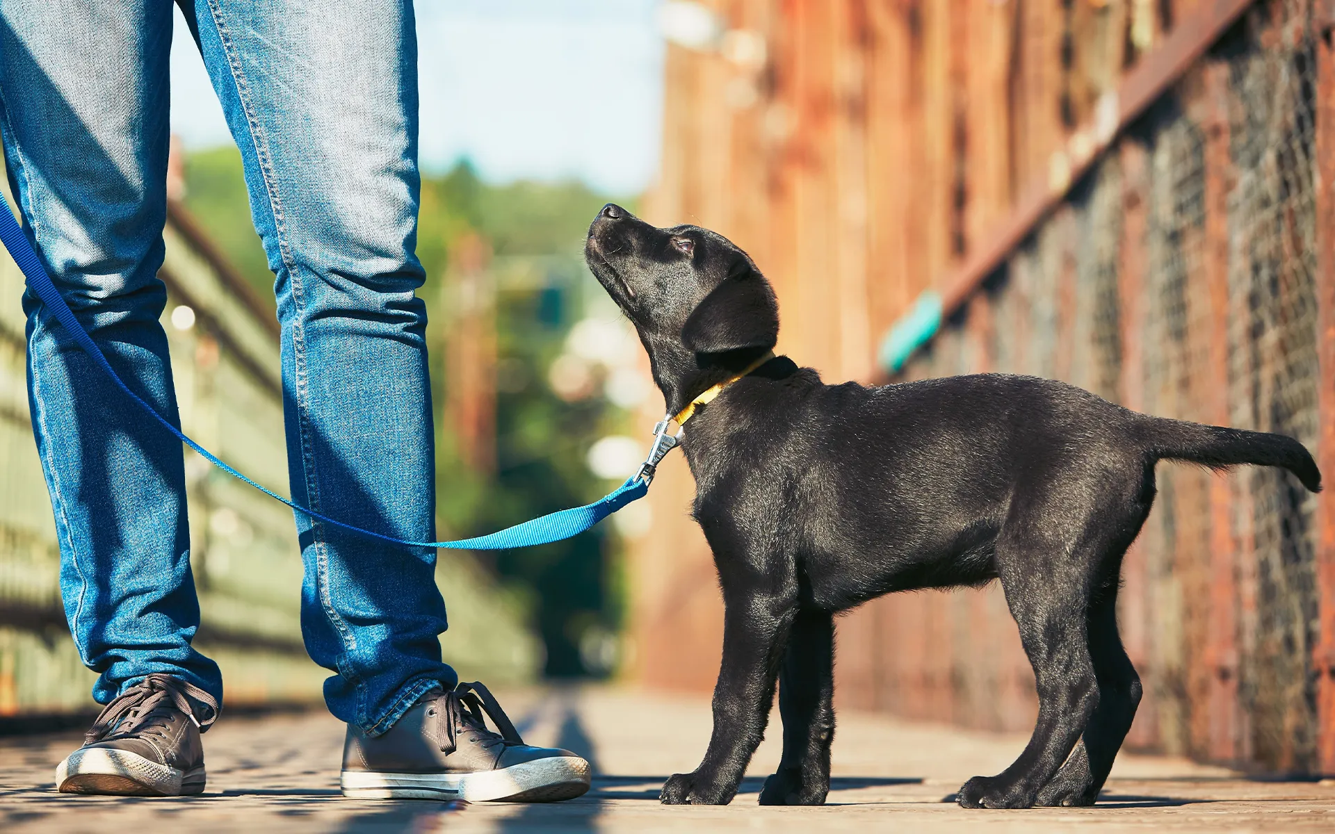 株式会社ＦＶＨ