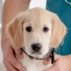 ワークライフバランス