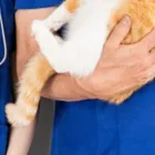 キャリアアップ